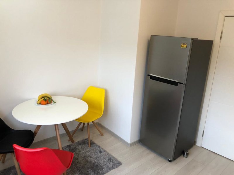 Doamna Ghica, vis-a-vis de Regina Maria